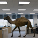 Illustration for article titled TAY Time Chat: Hump Day!